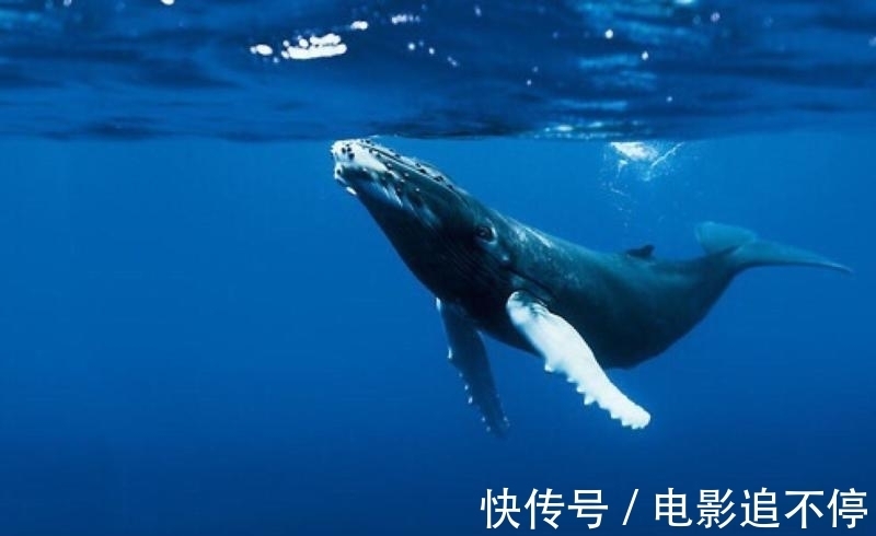 富豪最新资讯-快科技--科技改变未来