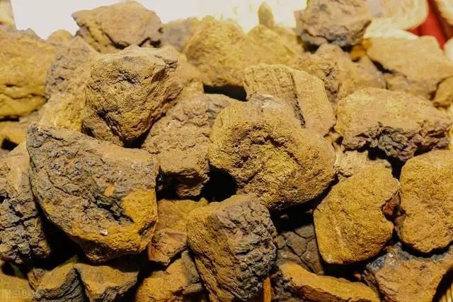杏鲍菇|9大常见蘑菇菌类的最佳吃法,这么做比肉还香!