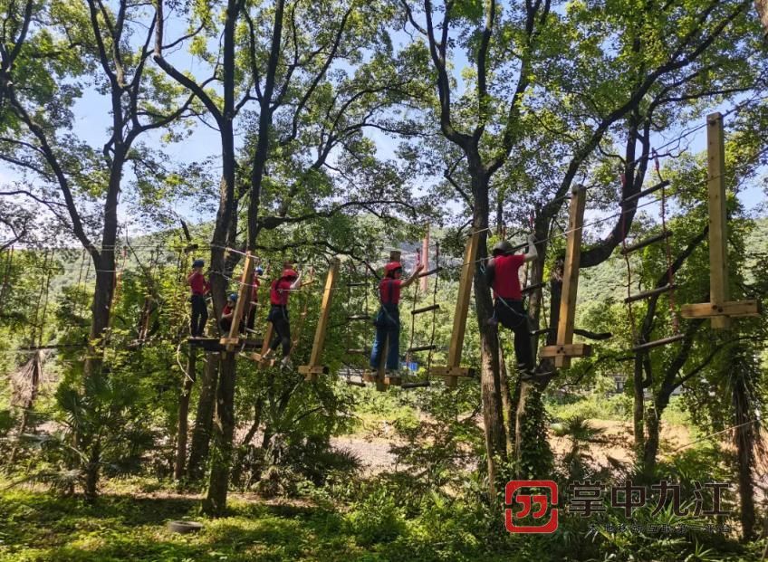 匡庐奇秀甲天下|夏季避暑怎么玩？这些景区景点不仅凉快还乐趣多多！