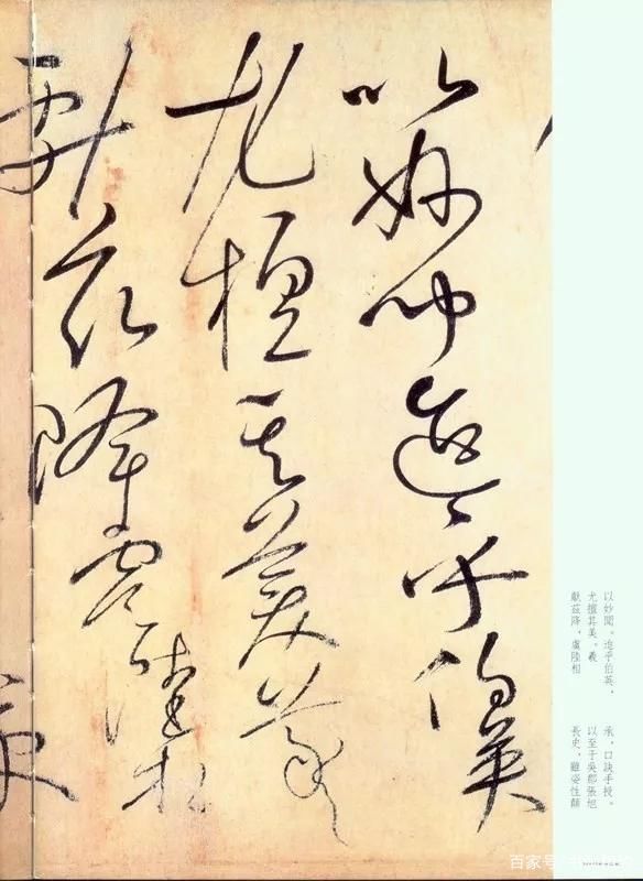 内府&怀素《自叙帖》奔蛇走虺势入座,骤雨旋风声满堂