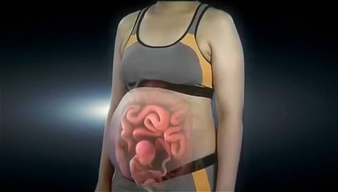 孕妇的“肚量”有多大一张图告诉你答案孕妇的内脏都被挤没了