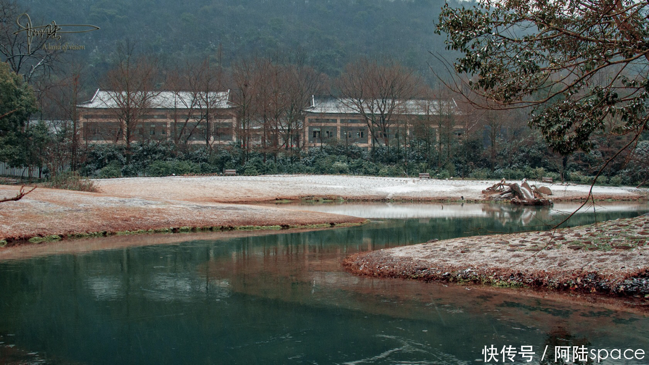 杭州的初雪，总是来得那么突然，使美景更添诗意