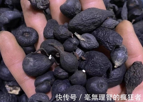 乌灵参|乌灵参:白蚁种出来的“人参”,价值堪比黄金,极其稀有和难获取