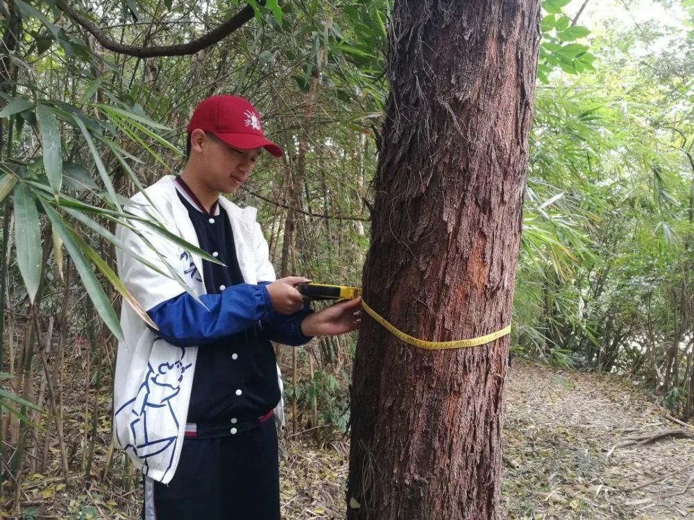  炊火|炊火中寻人间味 擘山尽探自然谜