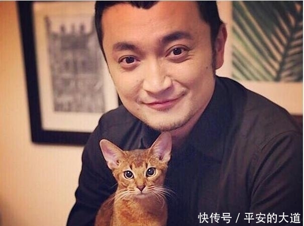 主持人|意想不到！央视著名主持人中也有这么多“猫奴”