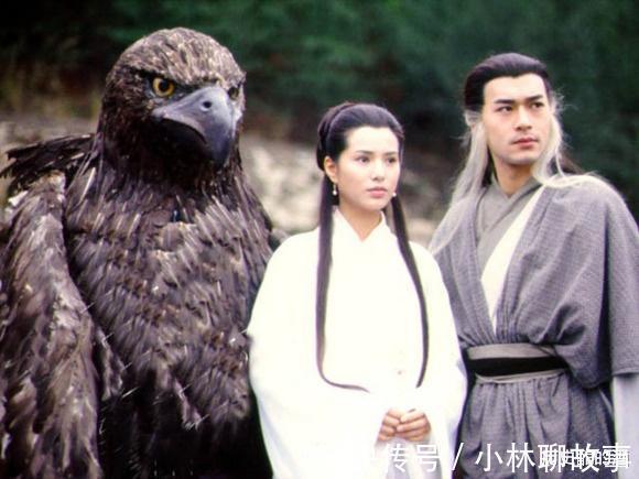 黯然销魂掌#假若第三次华山论剑,来次真正的比武,五绝如何排名杨过垫底