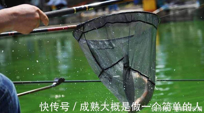 钓目|新手调漂,如何准确调漂找底以及更好的调节浮漂灵敏度,看这里