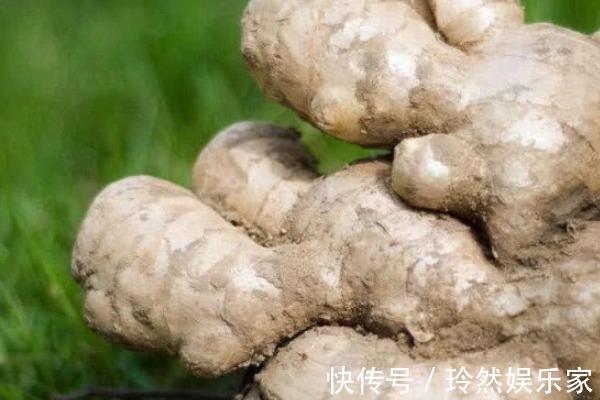 姜黄素|睡前把生姜涂在脚底下,除了缓解脚臭,还有三大好处等着你!