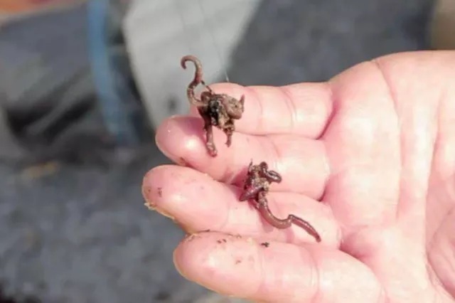 窝子|各种鱼窝详解,看完打窝一钓一个准,垂钓大师都羡慕你!