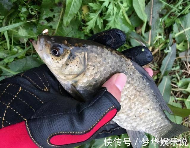 长竿|冬季野钓多久能发窝?别再傻傻等鱼来了,要学会主动出击