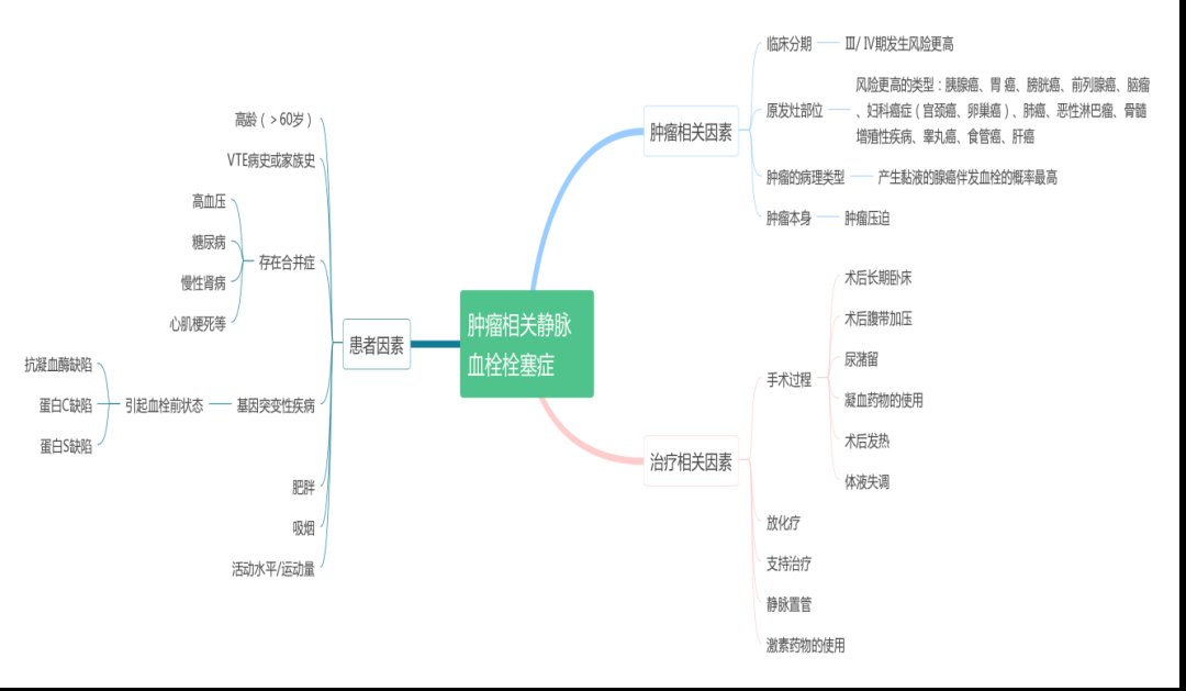 思维导图|巧用思维导图，轻松get血栓知识