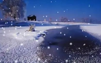 诗人!徐志摩写了一首肉麻情诗,被多次选入语文课本,好多老师都不敢细讲!