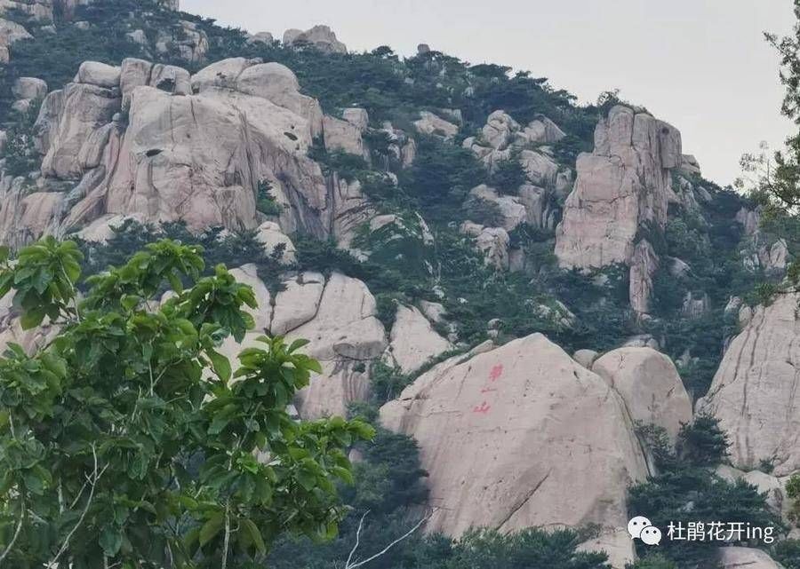 苏东坡|苏东坡与九仙山白鹤楼