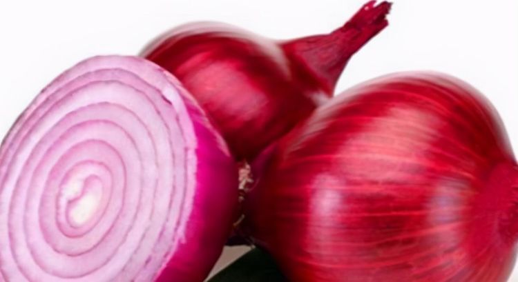 营养|聪明人都在吃3种食物,营养丰富、延缓衰老,谁吃谁受益!