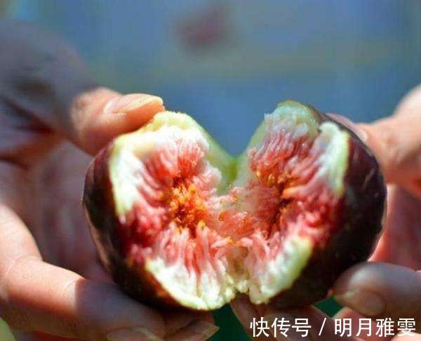 皮肤疹|怀孕时,孕妈常吃这4种食物,或许有助排胎毒,生个白嫩宝宝!