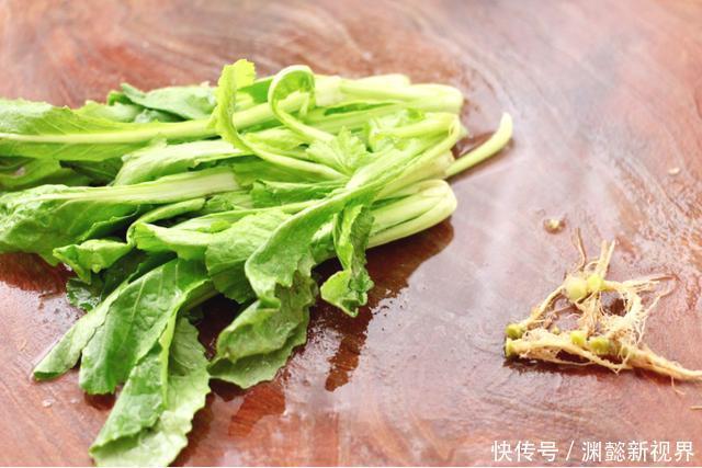 白菜|百菜不如白菜,遇见这种“白菜”别错过,别看小,营养价值巨高