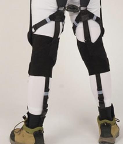 膝关节|这套“人造肌腱”装备,可保护你的老腰|Science子刊