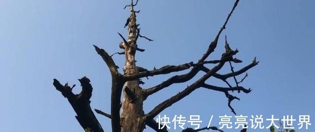 莫邪女@探访千年古寺遗址,历史源远流长,却有一段悲壮的故事!