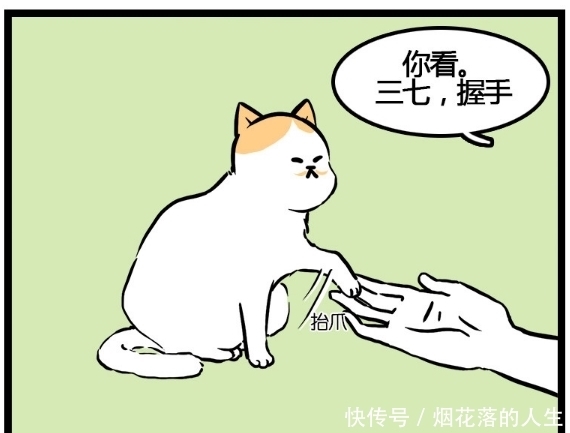 不好|搞笑漫画：原来这个世上真的有遭猫嫌体质，萌猫的心不好懂啊！