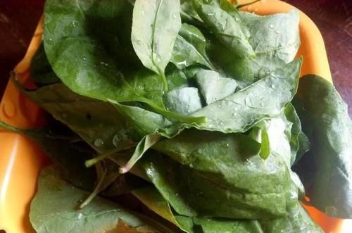 枸杞梗|鸡蛋和它才是天生一对,每周吃2次,气色好了,眼睛也变明亮了!