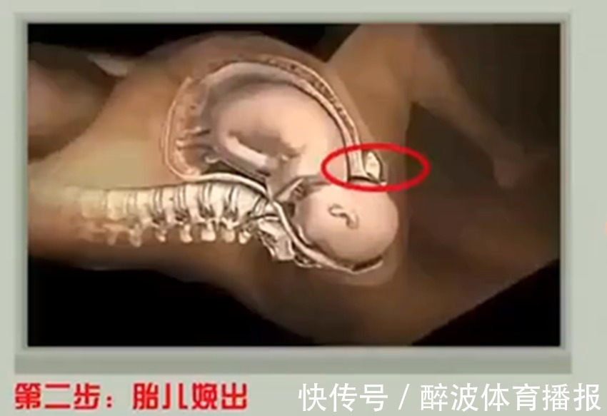 产妇|产妇分娩时胎儿在干嘛?看完眼眶湿润了,真的不止你一个人在努力