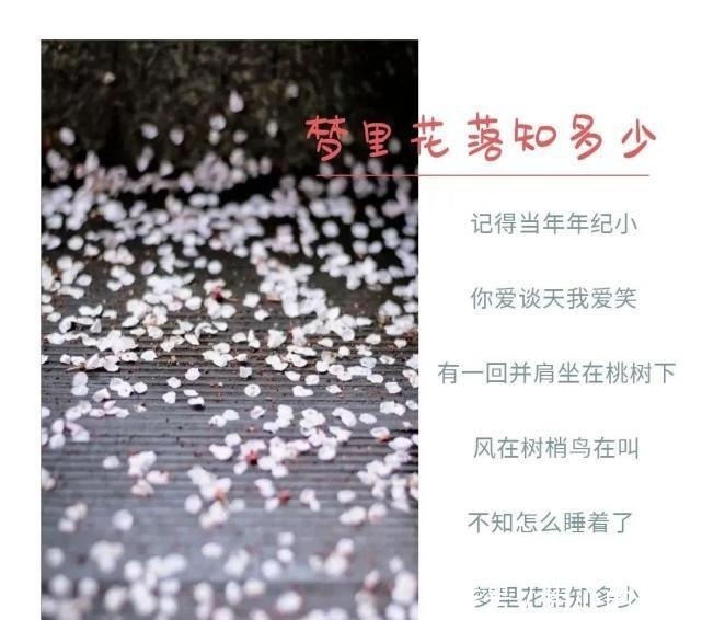 生活|怀念青春校园生活,追忆少年轻狂时光,3本优秀轻小说推介