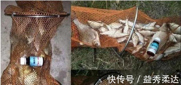 钓法|别再七想八想,“征服”黄颡鱼就得用这钓法,不料刚一下竿就有口!