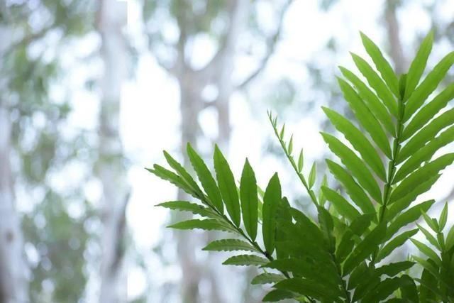 身体|身体垮掉前会出现的7个信号，有一个，都要警惕