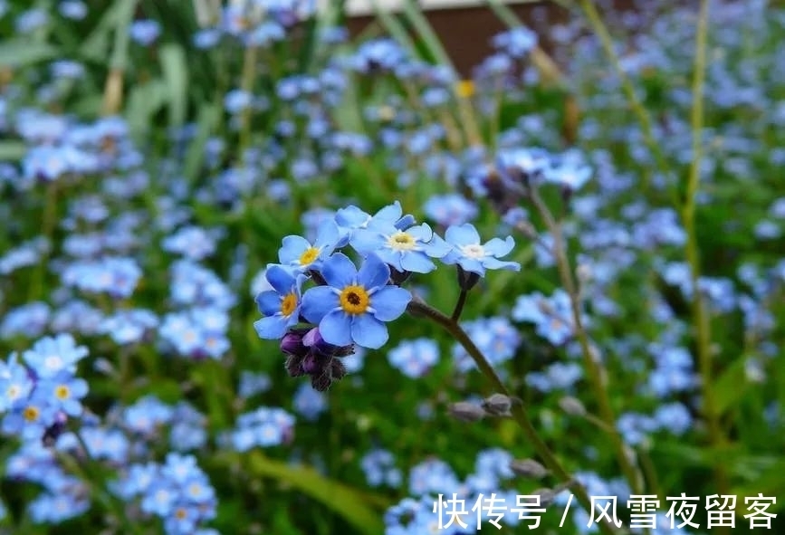 春天里#诗词丨诗词中的春天,总是美的令人心醉