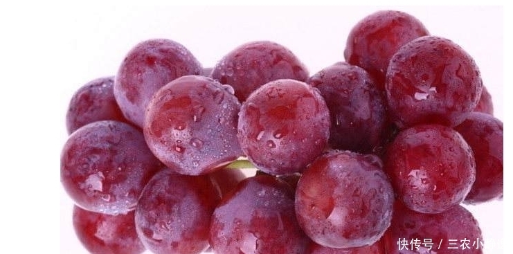  葡萄|种植优质葡萄的四项条件，轻松易掌握，收获好看又好吃的葡萄来！