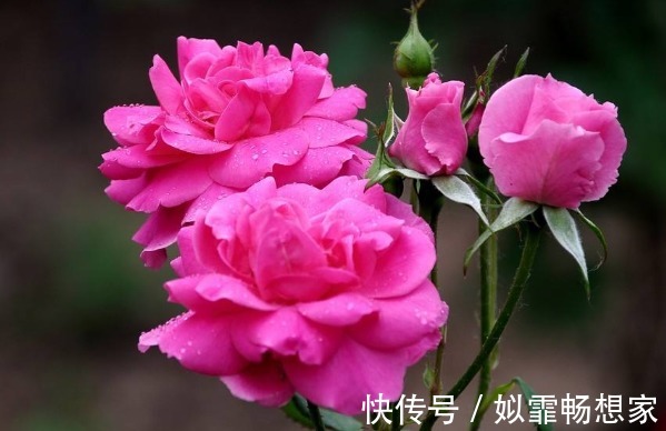 人财两空#俗话说天狂有雨人狂有祸,人再有本事,也别说这4句话!