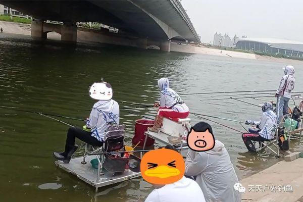 野河|野河钓鱼，找鱼窝的常用方法，找拐弯找水草，不过这种地形才最佳