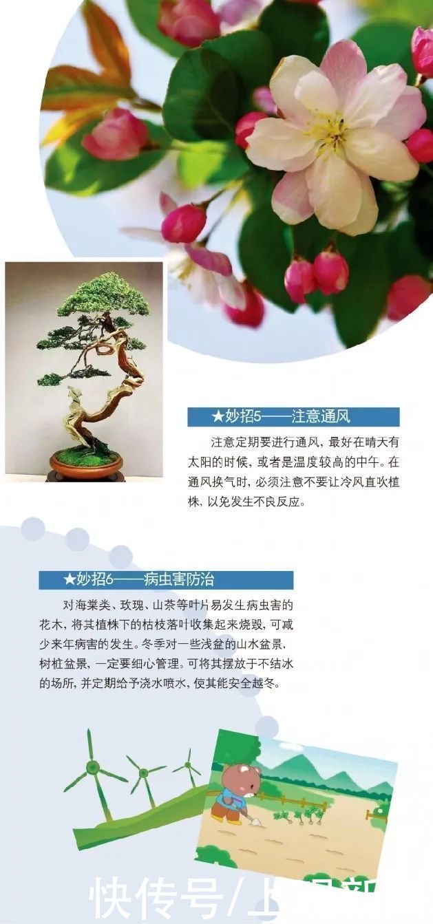  收下|冬天越来越近，家中花花草草怎么养护？请收下这份攻略