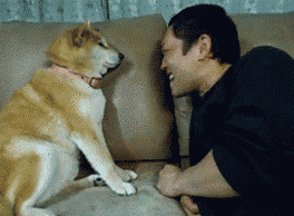 |搞笑动图：快乐跳舞的小家伙，萌萌哒！