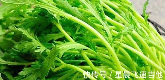 春菊|它是高尿酸的福星，经常吃可以降低身体内的嘌呤含量，预防痛风！