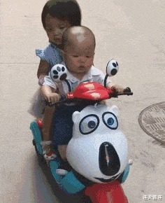 |搞笑GIF:妹子你是真会玩,摔下来的那一刻肯定后悔了吧!