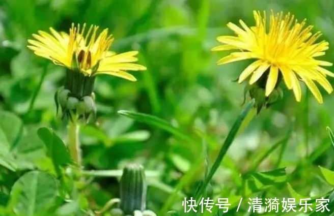 绝经|女性绝经期来临,会出现4个异常,保养身体,坚持“四多三少”