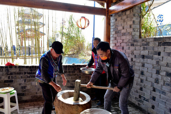 留瑞#品年猪 赏民俗！新瑞安人在瑞过别样“畲族年”