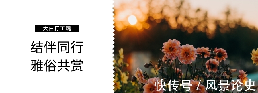 中餐厅|《中餐厅5》：在内娱做综艺，真是又轻松又赚钱