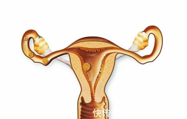 欧米伽3|妻子去孕前检查出这毛病, 丈夫怒骂妻子不要脸