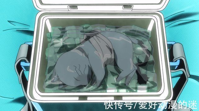 谷千纮|在万物皆可萌的二次元,就连僵尸都能这么可爱