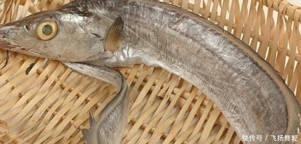 买带鱼时,聪明人遇到“这3种”扭头就走,商贩:从不让家人吃