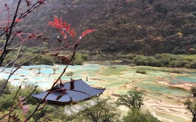 玉兰花开|黄龙5A景区，索道上去徒步下来，多少人错过了最高处的五彩池