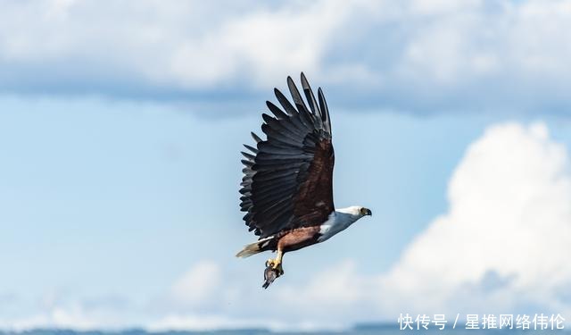 肯尼亚旅游只能去草原？错！还有最美的湖泊