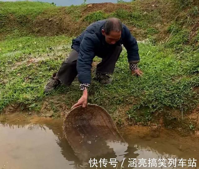 大山深处,7旬老人的“下酒菜”,每星期吃一顿,馋的人流口水