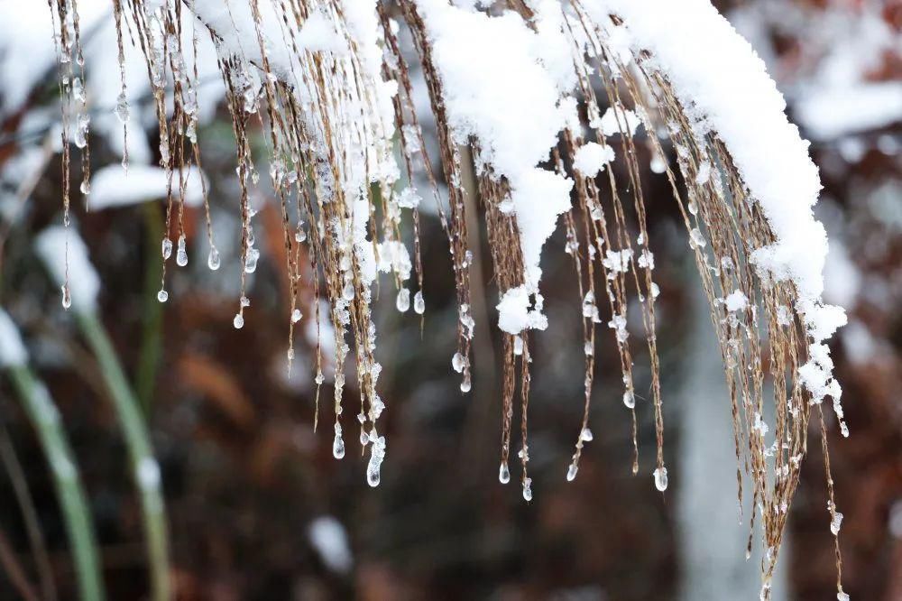 秘密|这个秘密只告诉你，刷爆朋友圈的广元雪景，都在这里了！