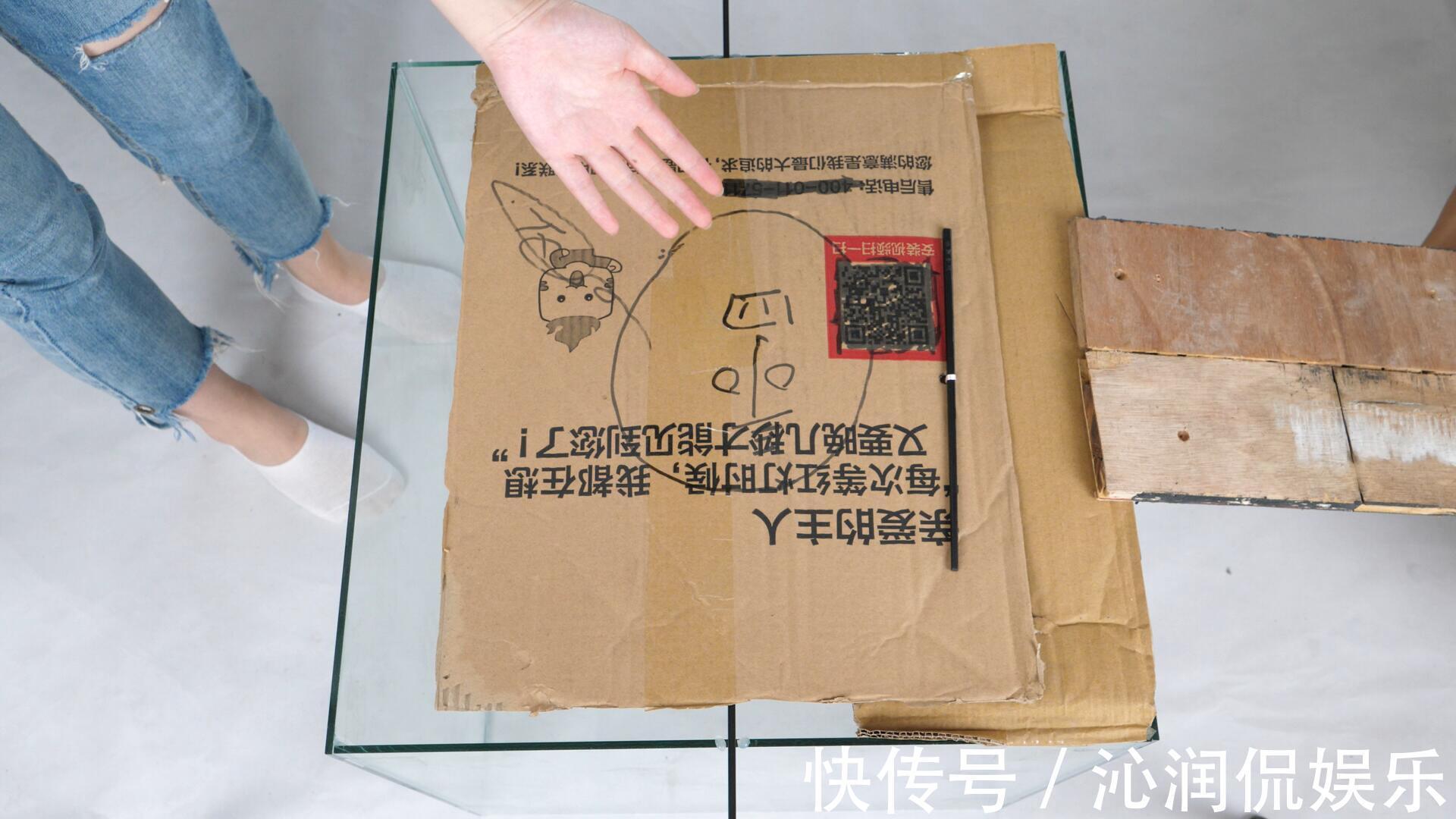 家里有老鼠别急,把它放角落里,来多少抓多少,好方法简单实用