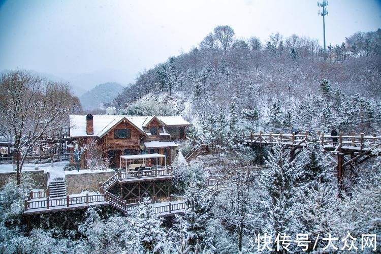 冰雪仙境|冰雪仙境！ 山东济南九如山迎来降雪