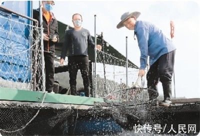 xo酱|在渔排，遇见不一样的香港