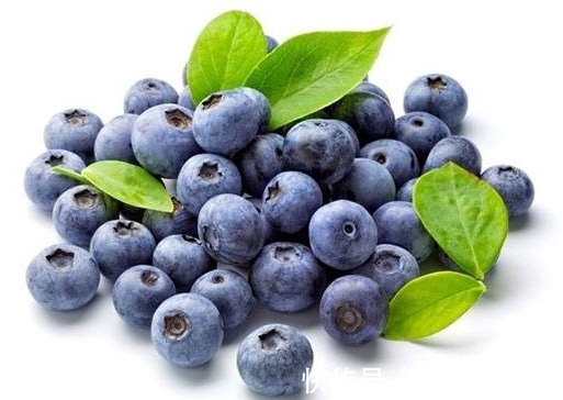蓝莓|此果子对身体很好,能强化视力,美白肌肤,延缓衰老,老少皆宜